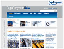 Tablet Screenshot of eagleburgmannnow.com
